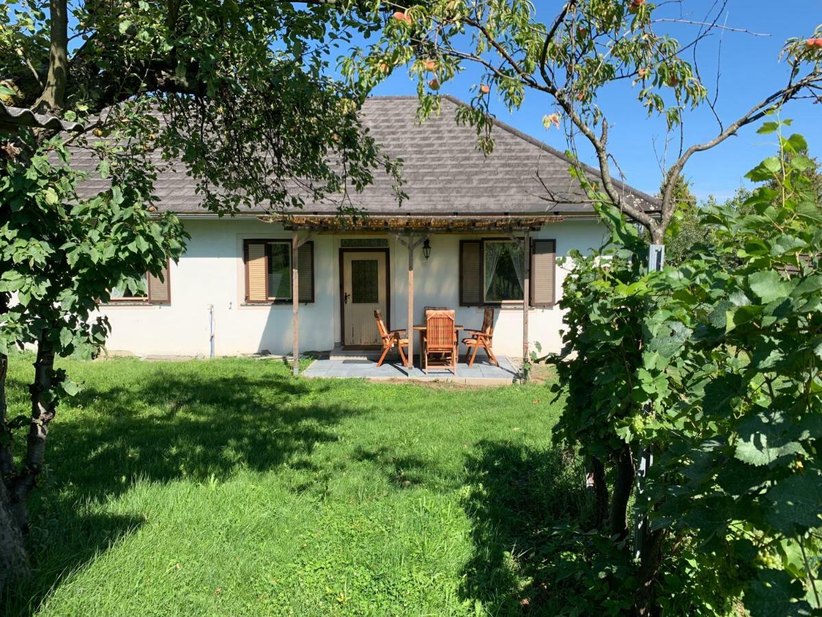 Urlaub Im Weingarten Winten  Exterior photo