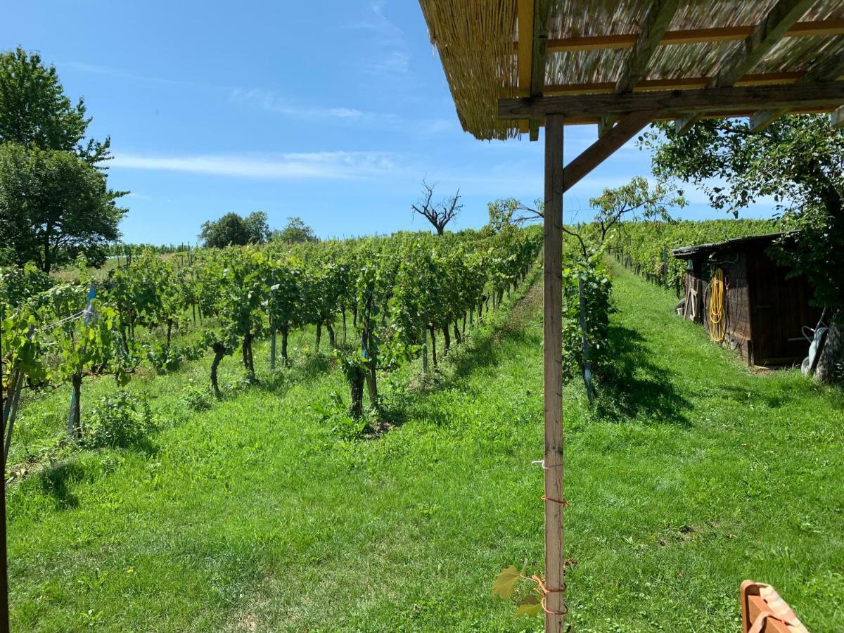 Urlaub Im Weingarten Winten  Exterior photo